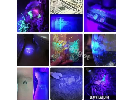 Lampe de poche UV ultraviolet à LED - Netgadget