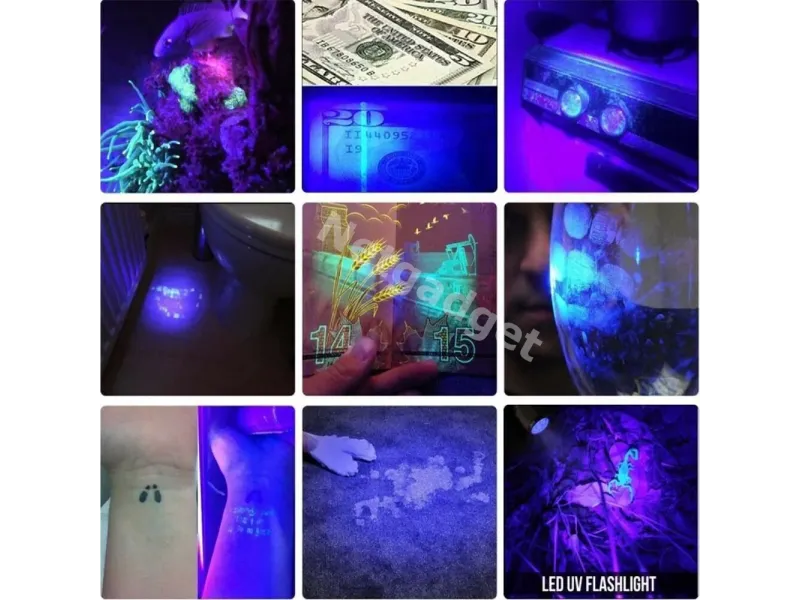 Lampe de poche UV ultraviolet à LED - Netgadget