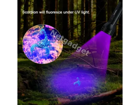 Lampe de poche UV ultraviolet à LED - Netgadget