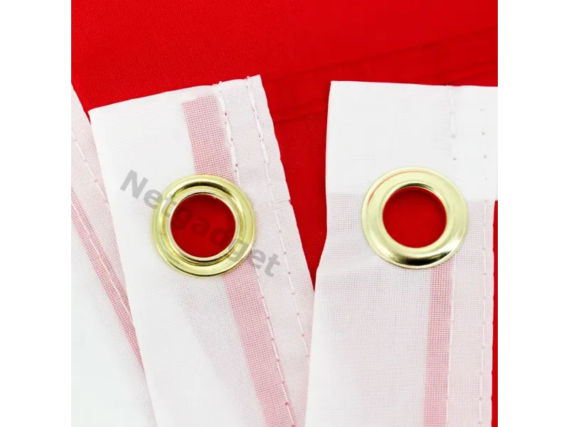 Drapeau Suisse - Netgadget