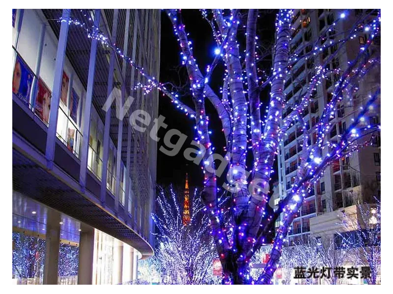 Guirlande lumineuse multi-couleurs