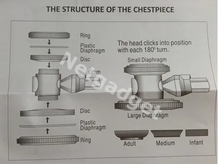 Stéthoscope