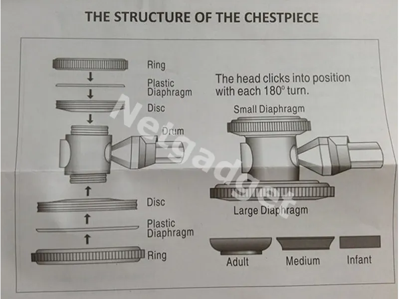 Stéthoscope