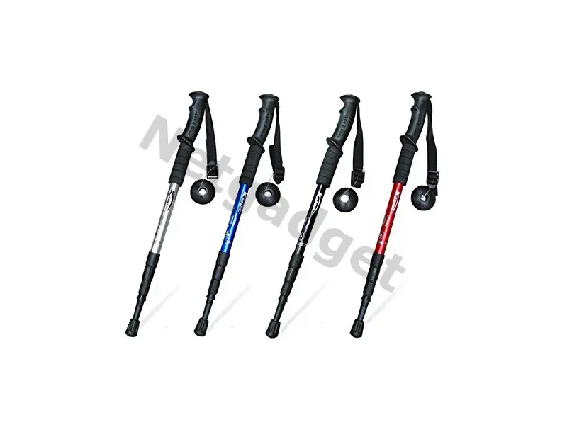 Set de 2 bâtons de marche nordique