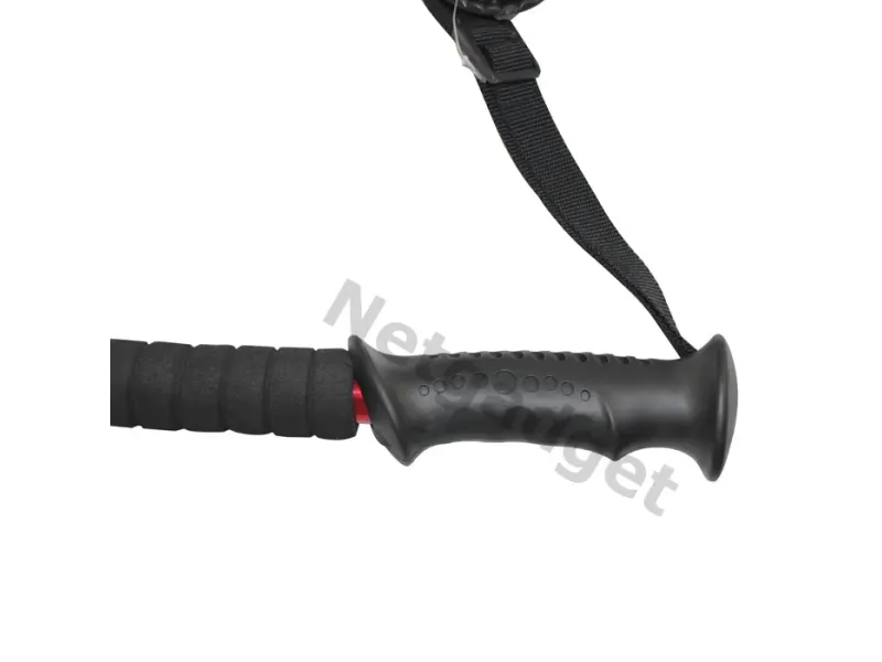 Set de 2 bâtons de marche nordique