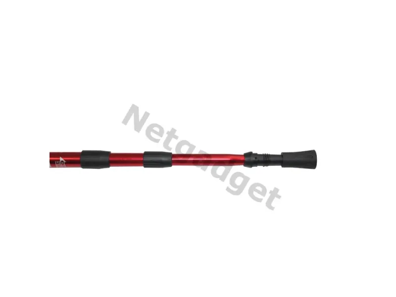 Set de 2 bâtons de marche nordique