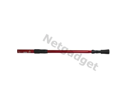 Set de 2 bâtons de marche nordique
