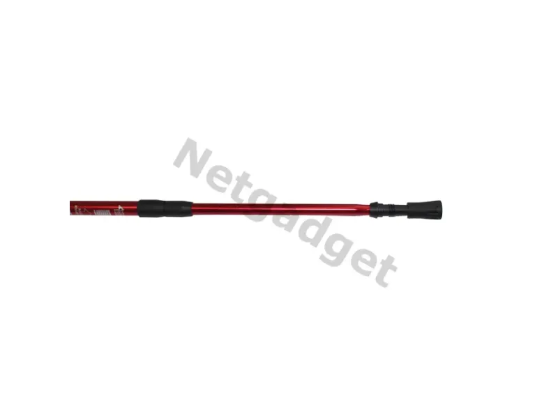 Set de 2 bâtons de marche nordique