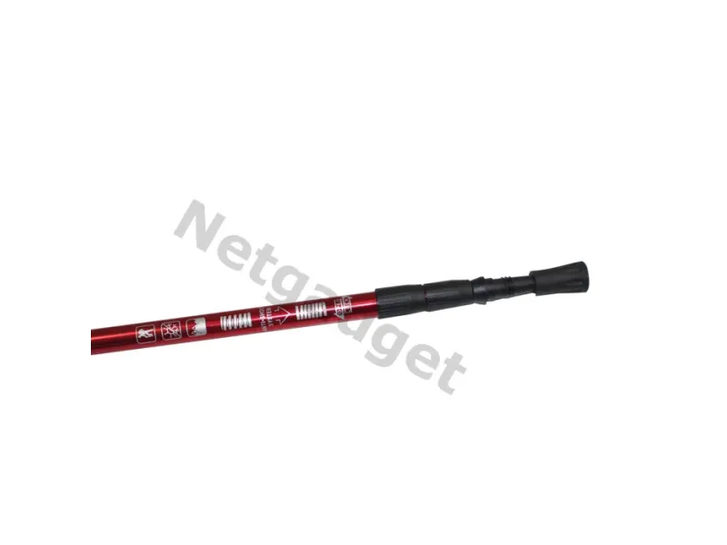 Set de 2 bâtons de marche nordique