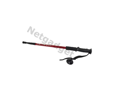 Set de 2 bâtons de marche nordique