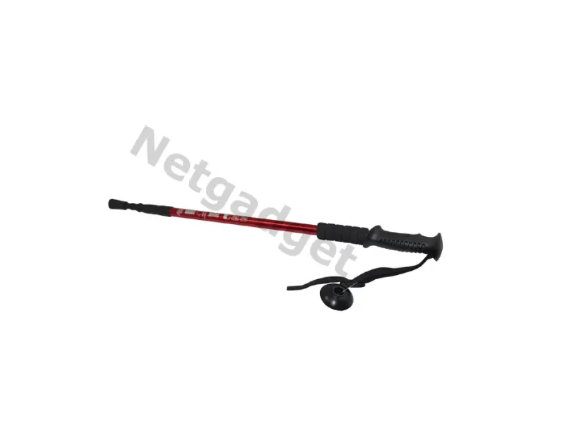 Set de 2 bâtons de marche nordique