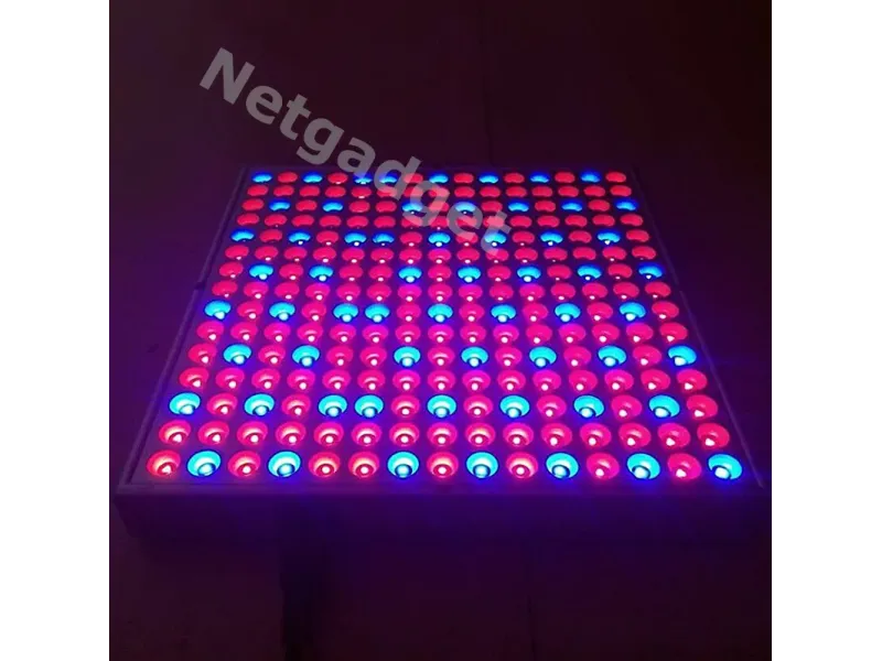 Lampe LED pour plantes fleurs 14W 225LED - Netgadget