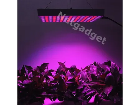 Lampe LED pour plantes fleurs 14W 225LED - Netgadget