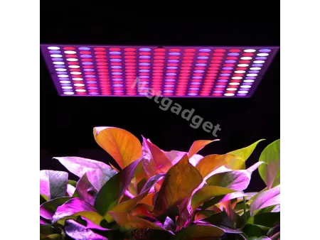 Lampe LED pour plantes fleurs 14W 225LED - Netgadget