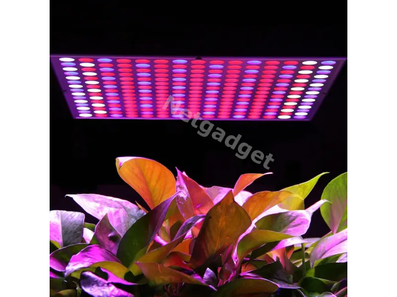 Lampe LED pour plantes fleurs 14W 225LED - Netgadget
