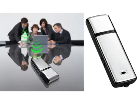 Audio RECORDER - Netgadget