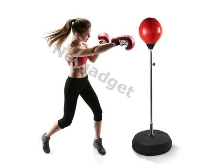 Set de Punching Ball avec gants et pompe