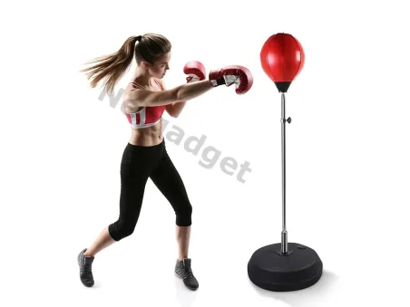 Set de Punching Ball avec gants et pompe